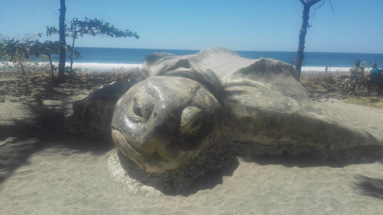 Las Cabinas De Veronique Venado Kültér fotó
